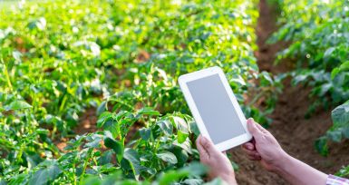 Agricultura de Precisión e IoT